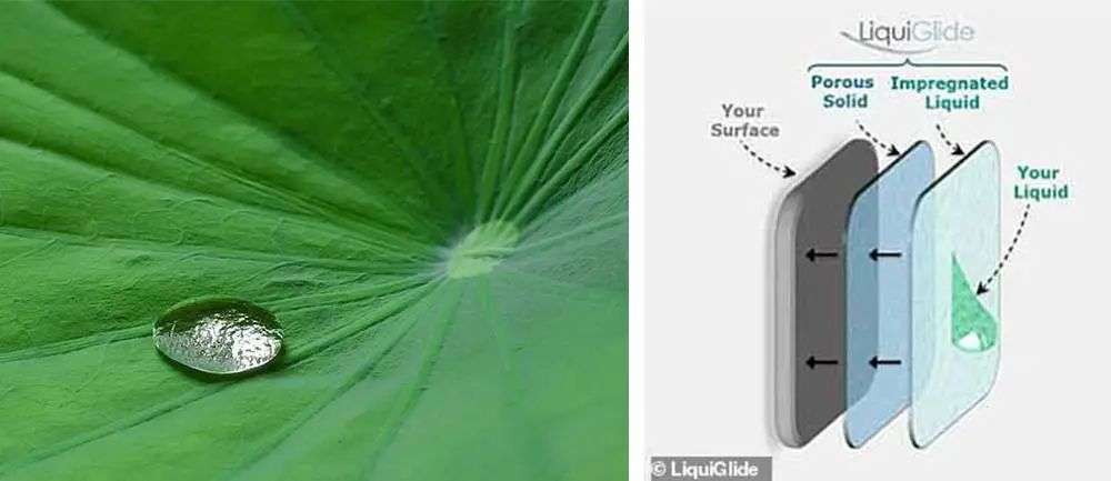 再也不用「擠牙膏」，高露潔換上的「潤滑劑」包裝，讓牙膏從此一滴不剩