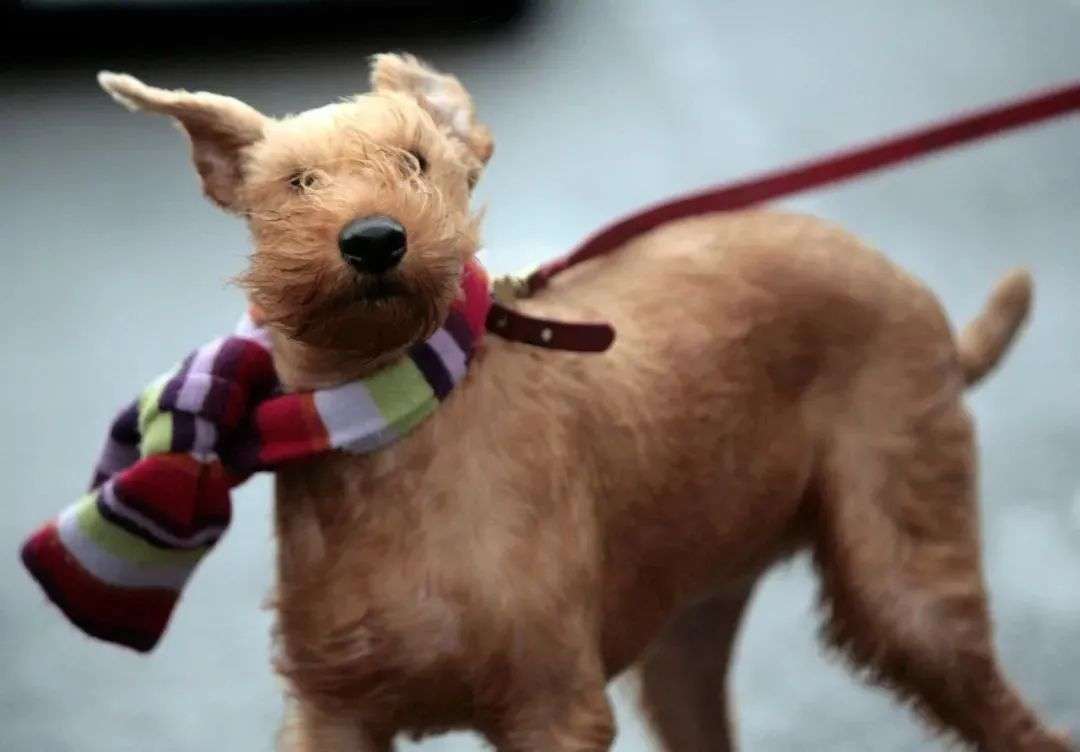 看一眼你的頭發,就知道洗發水買錯了 看一眼你的頭發,就知道洗發水買錯了